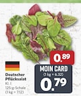 combi Rheine - Deutscher Pflücksalat Angebot im Prospekt Deutscher Pflücksalat bei combi im Rheine Prospekt für 0,79 €