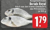 Aktuelles Dorade Royal Angebot bei E center in Aachen ab 1,79 €