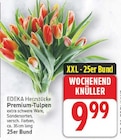 Premium-Tulpen von EDEKA Herzstücke im aktuellen E center Prospekt