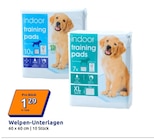 Welpen-Unterlagen bei Action im Ingolstadt Prospekt für 1,29 €