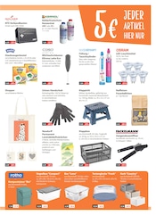 Bodenstaubsauger im V-Markt Prospekt in München Aktueller V-Markt Prospekt mit Bodenstaubsauger, "V-Markt einfach besser einkaufen", Seite 15