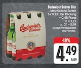 Bier Angebote von Budweiser Budvar bei EDEKA Großenhain für 4,49 €