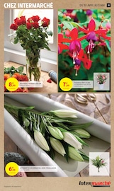 Fleurs Angebote im Prospekt "50% REMBOURSÉS EN BONS D'ACHAT SUR TOUT LE RAYON LESSIVE" von Intermarché auf Seite 19