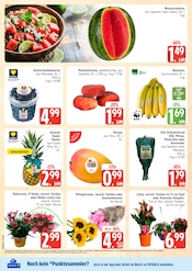 Aktueller Marktkauf Prospekt mit Topf, "Top Angebote", Seite 6