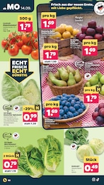 Pflaumen Angebot & Preis im aktuellen Netto mit dem Scottie Prospekt Pflaumen Angebot im aktuellen Netto mit dem Scottie Prospekt auf Seite 2