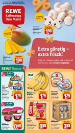 Aktueller REWE Prospekt (Katlenburg-Lindau) REWE Prospekt mit 34 Seiten (Katlenburg-Lindau)