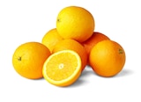Penny Göhl - Orangen Angebot im Prospekt Orangen bei Penny im Göhl Prospekt für 3,49 €