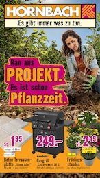 Hornbach Prospekt für Meißen: "Ran ans PROJEKT. Es ist schon Pflanzzeit.", 36 Seiten, 11.03.2026 - 08.04.2026