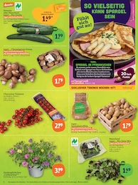 tegut Champignons im Prospekt 