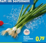 Lidl - Deutsche Lauchzwiebeln Angebot im Prospekt Deutsche Lauchzwiebeln bei Lidl im Prospekt "" für 0,79 €