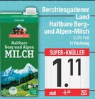 Haltbare Berg- und Alpen-Milch im aktuellen Prospekt bei E center in Hunderdorf