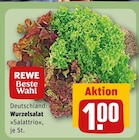 Aktuelles Wurzelsalat Salattrio Angebot bei REWE in Freiburg (Breisgau) ab 1,00 €