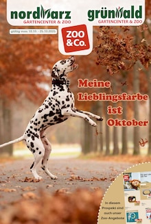 Aktueller Garten-Center Nordharz GmbH & Co. KG Prospekt (Braunschweig, 14 Seiten zum blättern Garten-Center Nordharz GmbH & Co. KG Prospekt MEINE LIEBLINGSFARBE IST OKTOBER mit 14 Seiten
