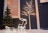 Arbre lumineux à LED à Lidl dans Chavelot