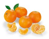 Mandarinen Angebote von REWE Beste Wahl bei REWE Krefeld für 2,99 €