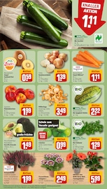 Bio im REWE Prospekt in Bornheim Aktueller REWE Prospekt mit Bio, "Dein Markt", Seite 9