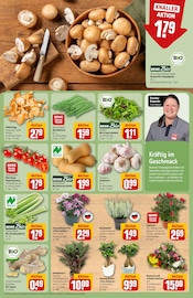 Pilze im REWE Prospekt in Kassel Aktueller REWE Prospekt mit Pilze, "Dein Markt", Seite 7