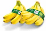 Bio Bananen im Angebot bei Netto Marken-Discount in Emden Bio Bananen Angebote von BioBio bei Netto Marken-Discount Emden für 1,69 €