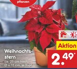 Weihnachtsstern Angebote bei Netto Marken-Discount Frechen für 2,49 €