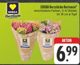 Aktuelle Hortensie Angebote bei E center in Dresden Aktuelles Herzstücke Hortensie Angebot bei E center in Dresden ab 6,99 €