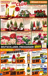 Weihnachtskugeln Angebot & Preis im aktuellen Norma Prospekt Weihnachtskugeln Angebot im aktuellen Norma Prospekt auf Seite 12