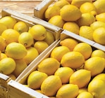 Netto Liévin - Promo Citron Jaune Promo Citron Jaune à 1,69 € dans le catalogue Netto à Liévin