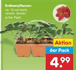 Erdbeerpflanzen im Angebot bei Netto Marken-Discount in Köln Erdbeerpflanzen Angebote bei Netto Marken-Discount Köln für 4,99 €