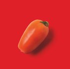 Tomates allongées San Marzano - Colruyt à Colmar Tomates allongées San Marzano en promo chez Colruyt Colmar à 3,49 €