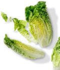 Mini-Romana-salat  im aktuellen Kaufland Prospekt für 0,79 €