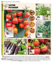 Promos Plant De Tomates dans le catalogue "EMBELLIR VOTRE EXTÉRIEUR AVEC NOS EXPERTS" de Carrefour à la page 10