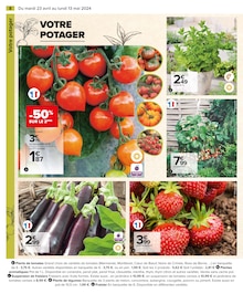 Promo Arbre Fruitier dans le catalogue Carrefour du moment à la page 10