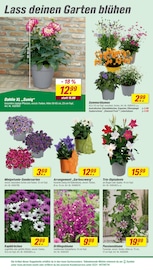 Aktueller toom Baumarkt Prospekt mit Gartendeko, "Respekt, wer's selber macht.", Seite 8