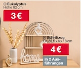 Eukalyptus oder Schriftzug Angebote bei Woolworth Solingen für 3,00 €