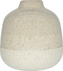 Keramikvase halbseitig lasiert, creme/beige von Soapland im aktuellen dm-drogerie markt Prospekt für 4,95 €