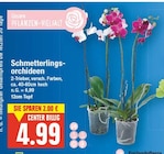 Schmetterlings-orchideen von  im aktuellen E center Prospekt für 4,99 €