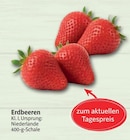 Markant Nordwest Marsberg Prospekt mit  im Angebot für 