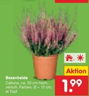 Besenheide im Angebot bei Netto Marken-Discount in Neumünster Besenheide Angebote bei Netto Marken-Discount Neumünster für 1,99 €