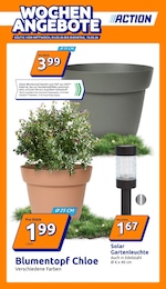 Der aktuelle Action Prospekt Der aktuelle Action Prospekt: Wochenangebote