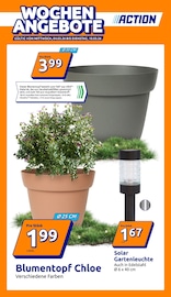 Action Sonderposten Prospekt der aktuellen Woche mit 31 Seiten, gültig von 04.03.2026 bis 10.03.2026, in Bestensee und Umgebung Aktueller Action Sonderposten Prospekt in Bestensee und Umgebung, "Wochenangebote" mit 31 Seiten, 04.03.2026 - 10.03.2026