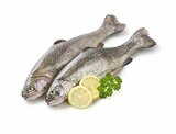 Bio Forellen Angebote bei E center Rüsselsheim für 2,49 €