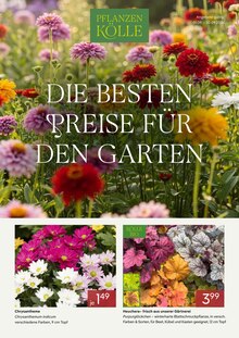 Blumen im aktuellen Pflanzen Kölle Prospekt (Hamburg) Blumen im Pflanzen Kölle Prospekt "DIE BESTEN PREISE FÜR DEN GARTEN" mit 5 Seiten (Hamburg)