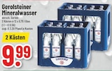 Trinkgut Borken Prospekt mit  im Angebot für 9,99 €