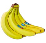 CHIQUITA Bananen im aktuellen Penny Prospekt