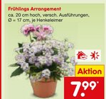 Frühlings Arrangement im Netto Marken-Discount Prospekt Frühlings Arrangement von im aktuellen Netto Marken-Discount Prospekt für 7,99 €