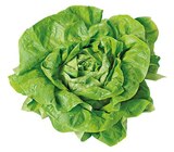 REWE Friedrichshafen - Kopfsalat Angebot im Prospekt Kopfsalat bei REWE im Friedrichshafen Prospekt für 1,49 €