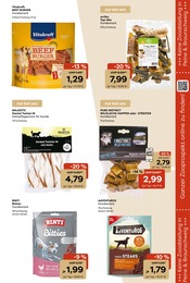 Aktueller Garten-Center Nordharz GmbH & Co. KG Prospekt mit Lachs, "Farben Düfte Frühlingsfreude", Seite 15