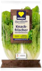 EDEKA - Mini Romana Salat Angebot im Prospekt Mini Romana Salat bei EDEKA im Prospekt "" für 0,99 €
