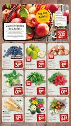 nahkauf Pilze im Prospekt 