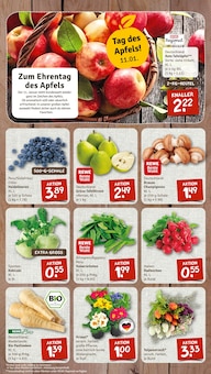 Blumen im nahkauf Prospekt "nichts liegt näher" mit 16 Seiten (Dresden)