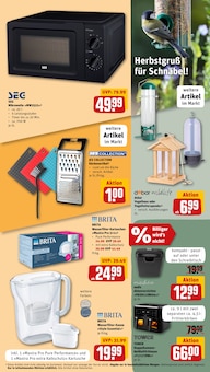 Teppich Angebot im REWE Prospekt, gültig von 13.10.2025 bis 18.10.2025 Teppich Angebot im aktuellen REWE Prospekt auf Seite 31